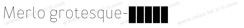 Merlo grotesque字体转换